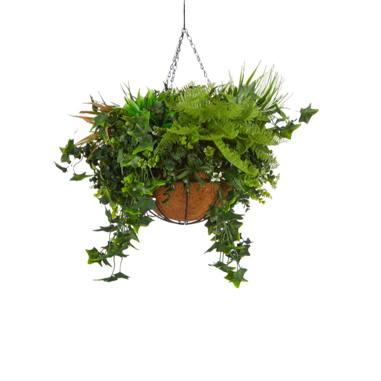 Outlet BundleBerry by Amanda Holden Tropical Hanging Basket - QVC UK