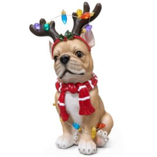 Santa Express Pre Lit Dog Decor