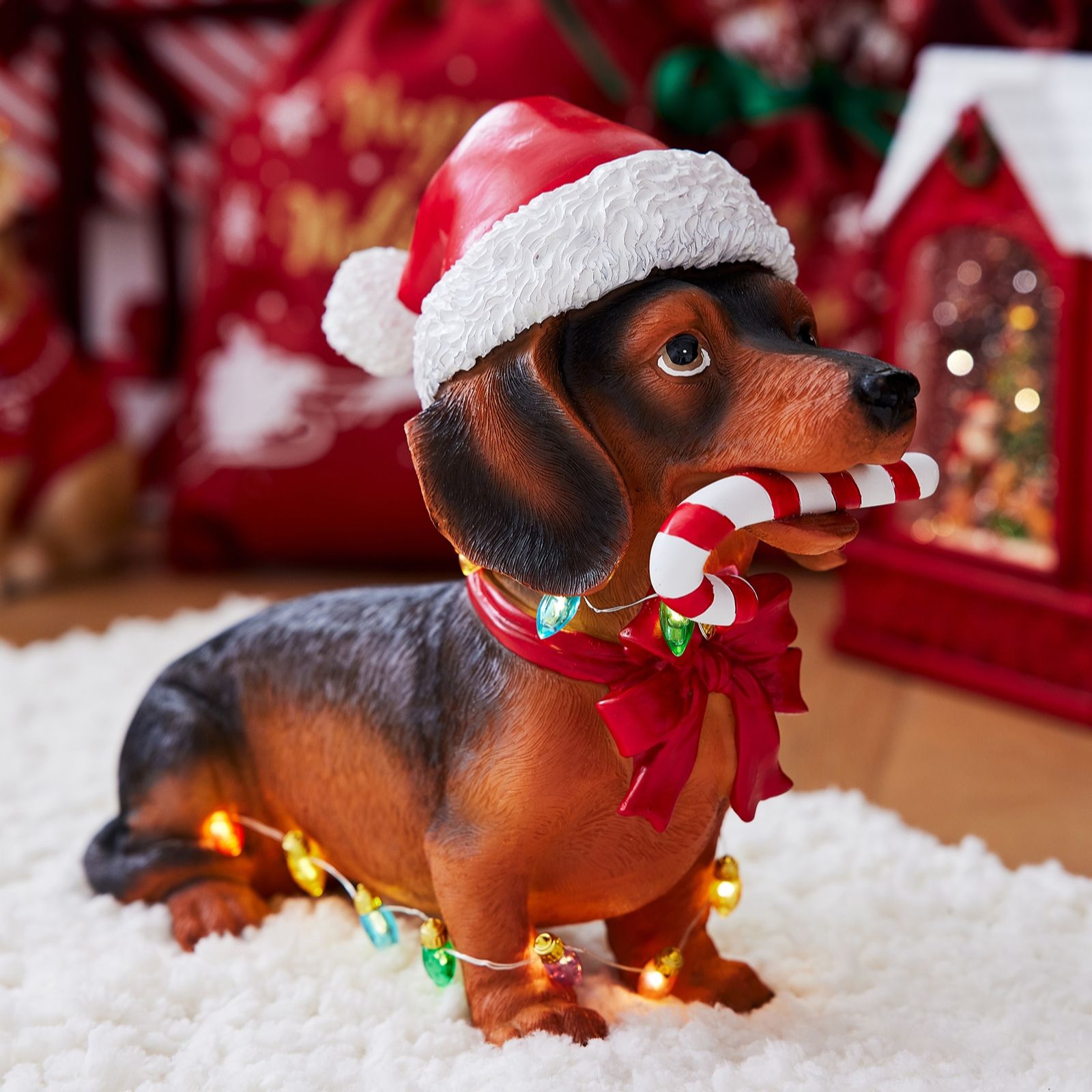 Santa Express Pre Lit Dog Decor