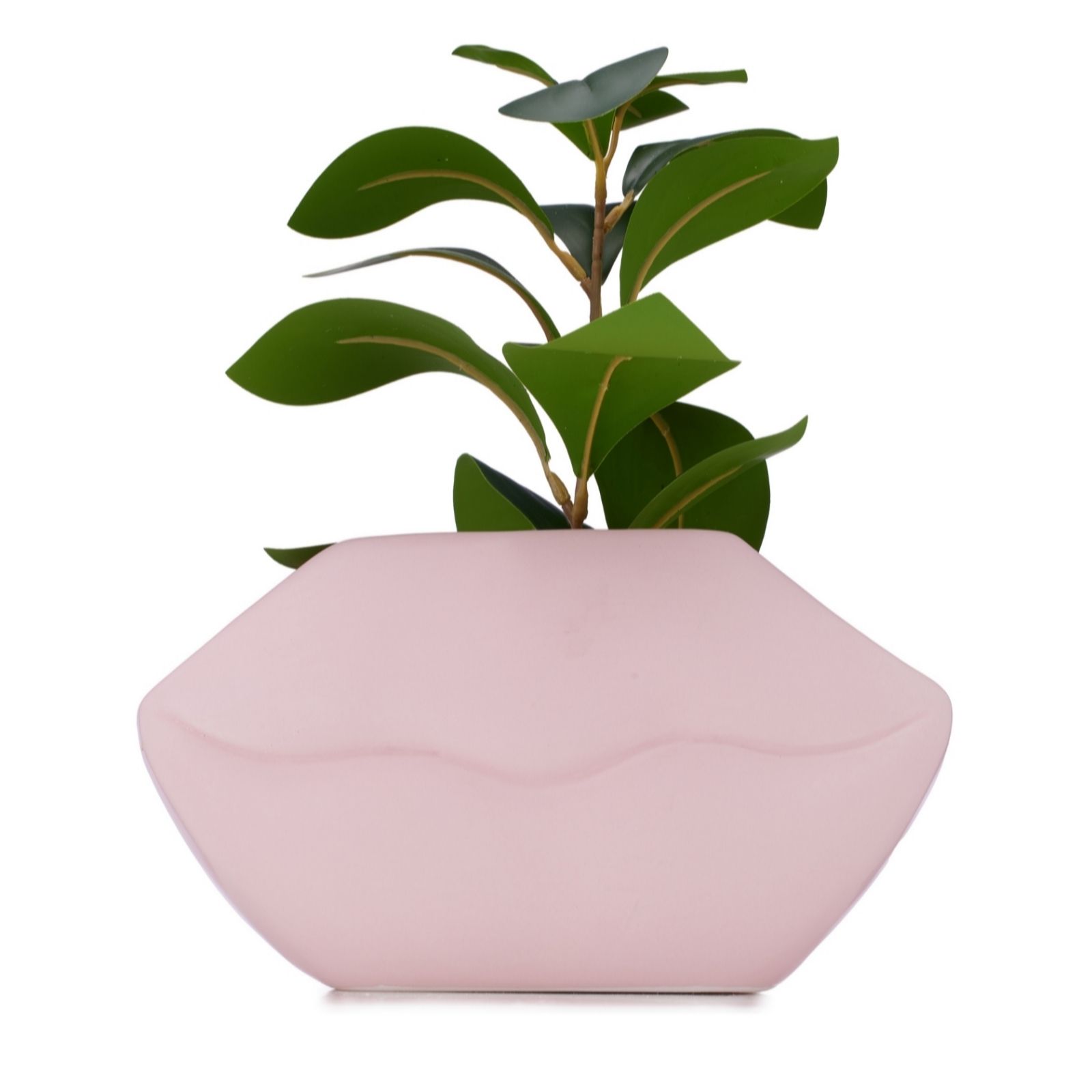 Outlet Bundleberry by Amanda Holden Lips Foliage Vase