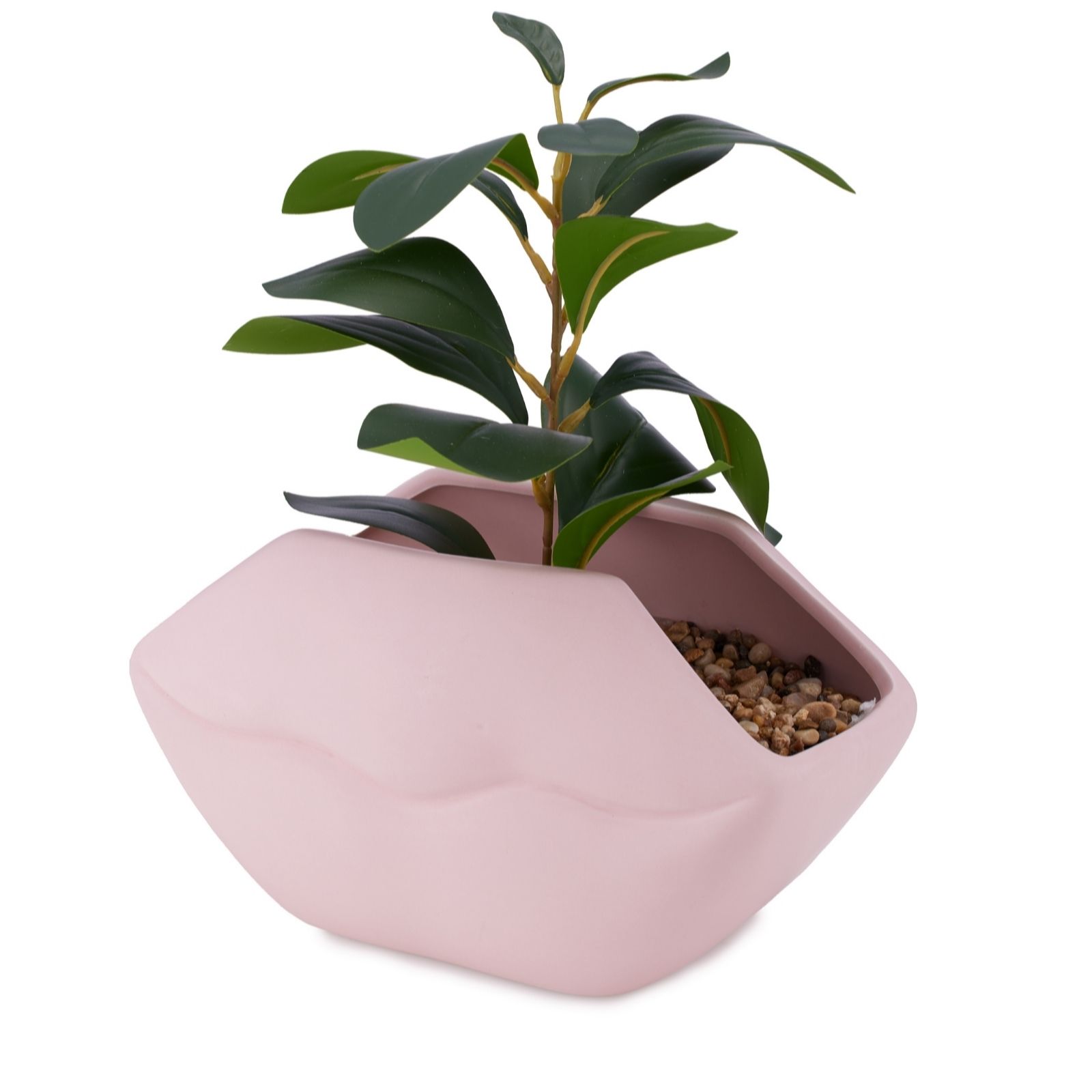 Outlet Bundleberry by Amanda Holden Lips Foliage Vase - QVC UK