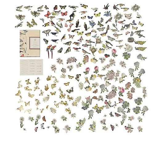 Anna Griffin All about Birds & Butterflies Embellishments
