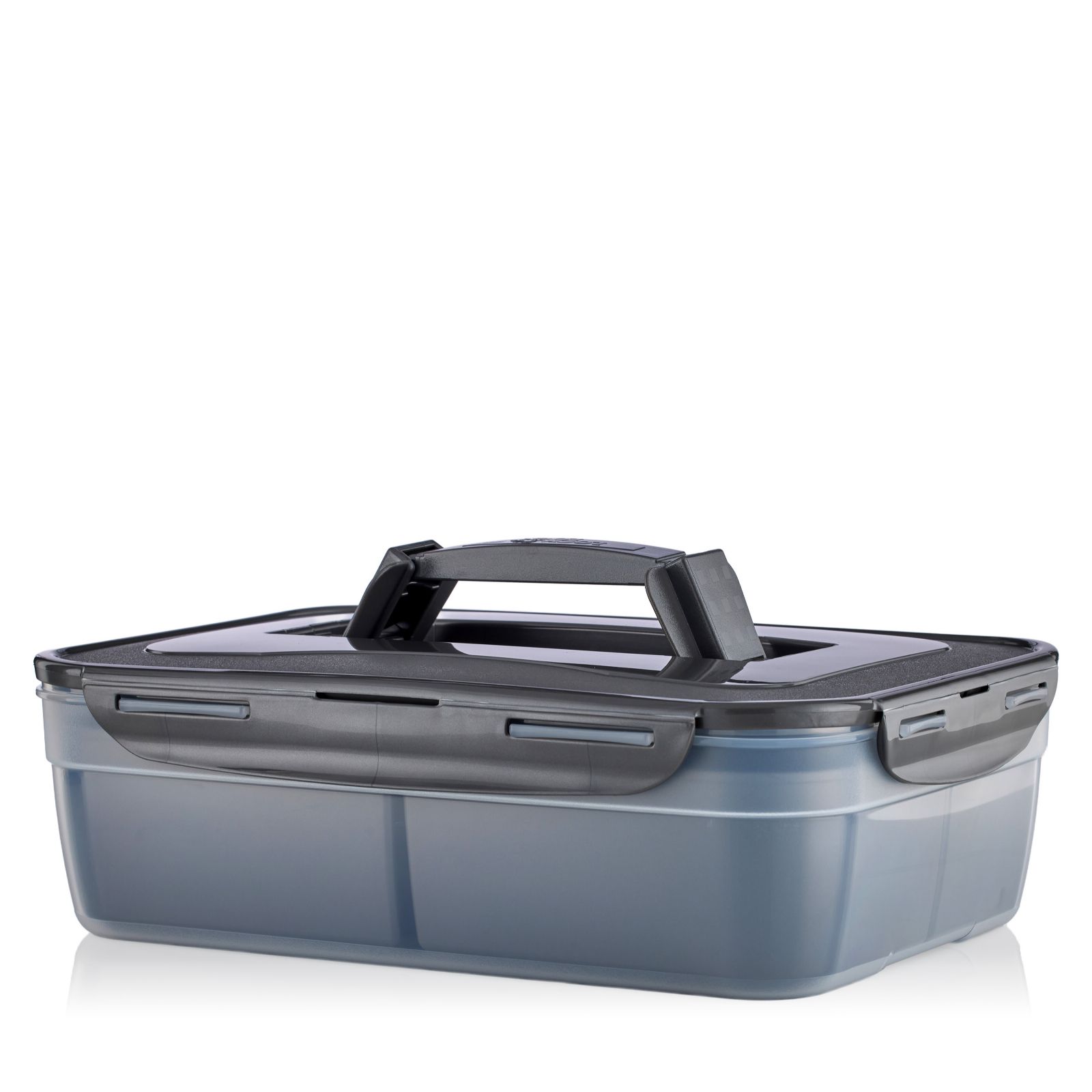 LocknLock Carry Container with Handle & Insert
