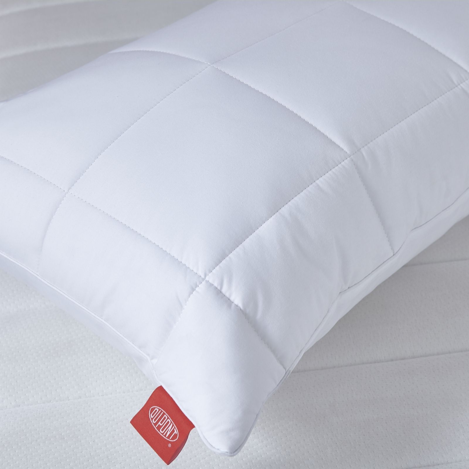 Sealy Cotton Cloud DuPont Pillow QVC UK