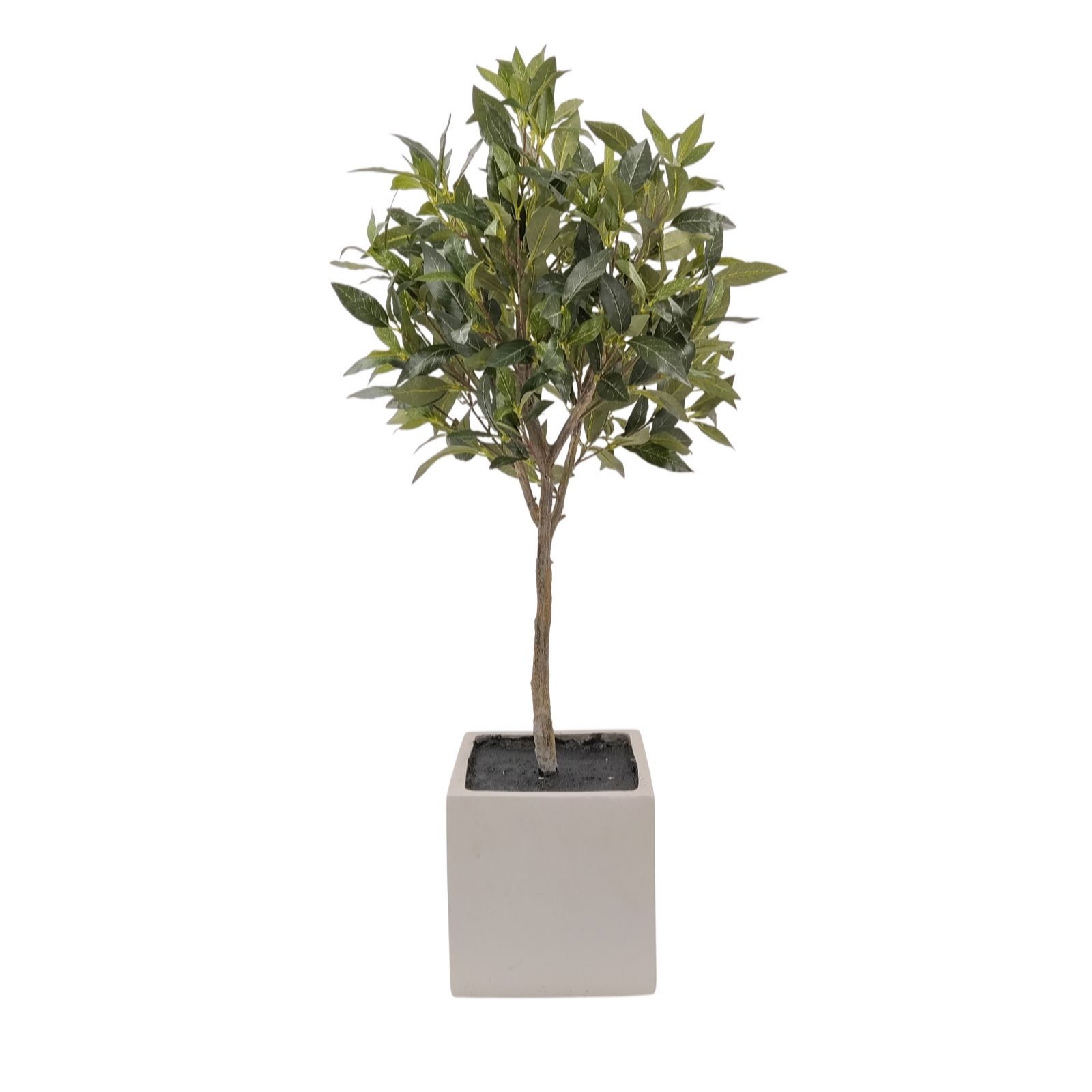 K by Kelly Hoppen Topiary Indoor Outdoor Faux Bay Tree