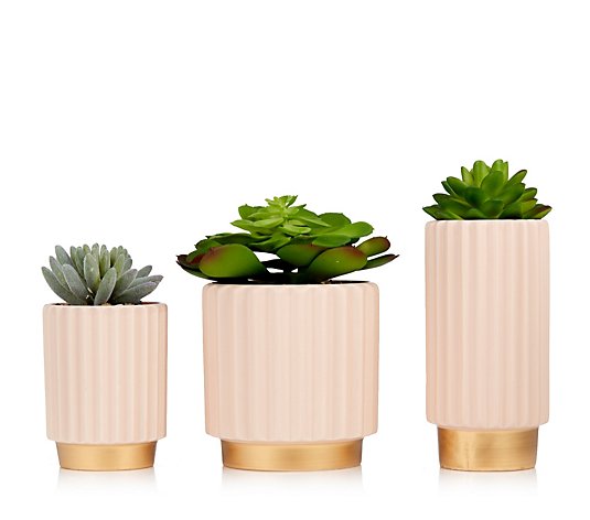 My Home Stories Set of 3 Faux Succulents in Ceramic Fluted Pot