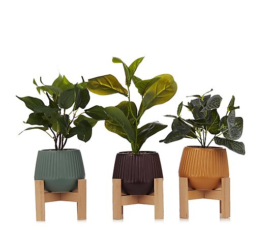 Bundleberry by Amanda Holden Set of 3 Faux Plants on Wooden Stands