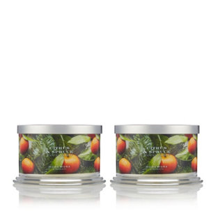 Homeworx by Harry Slatkin & Co. Set of 2 Citrus and Spruce 4 wick Candles - 818147