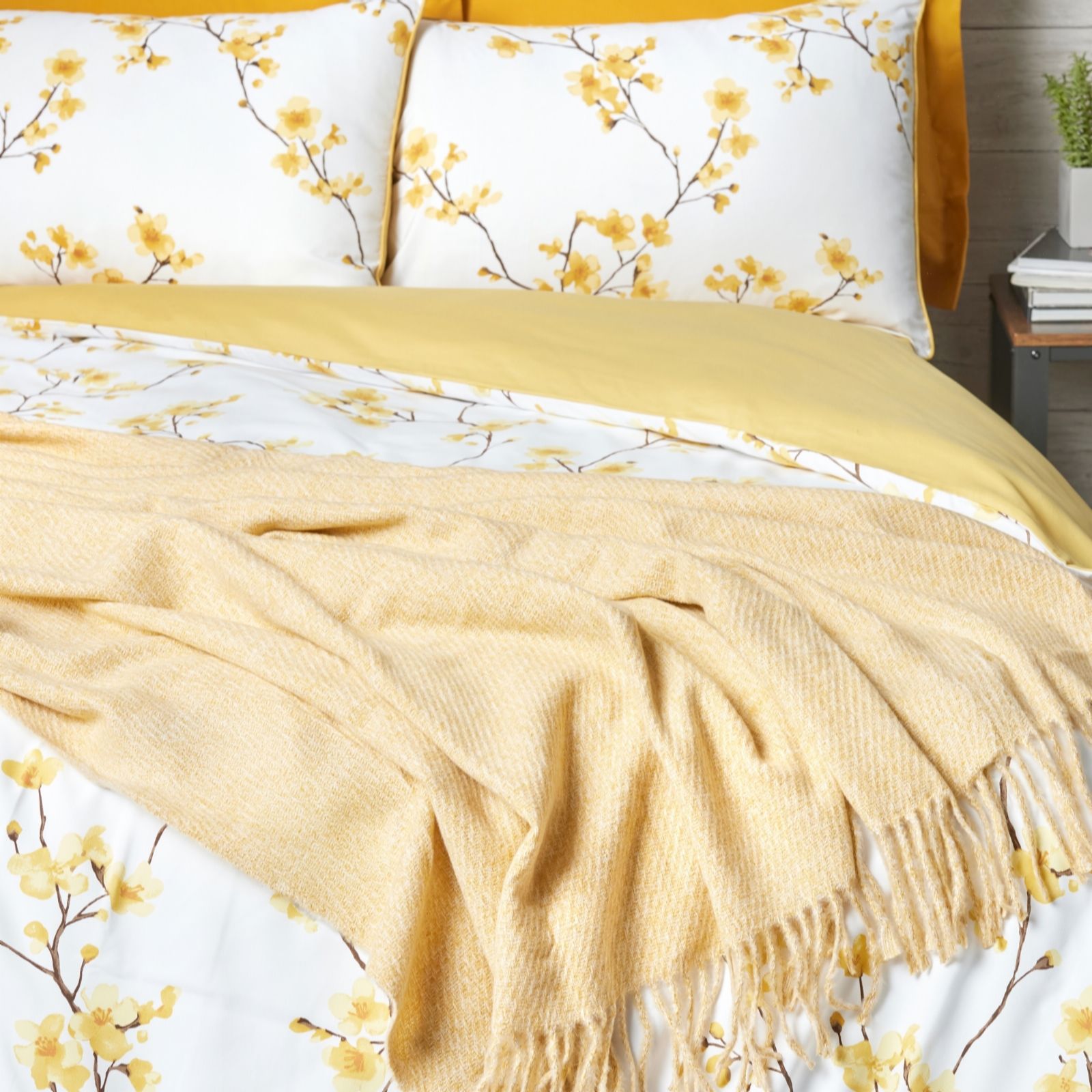 Outlet Cozee Home Softknit Throw