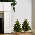 Bethlehem Lights Pre Lit Set of 2 45cm Mini Potted Trees with Timer