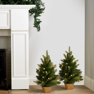 Bethlehem Lights Pre Lit Set of 2 45cm Mini Potted Trees with Timer