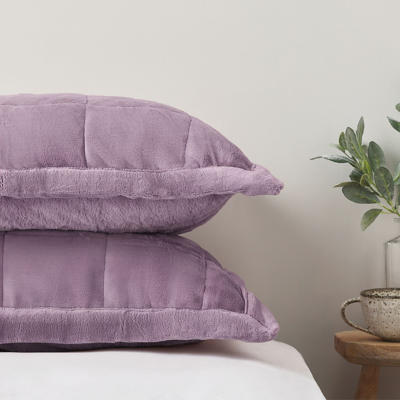 Cozee Home Set of 2 Velvetsoft  Pillowcases