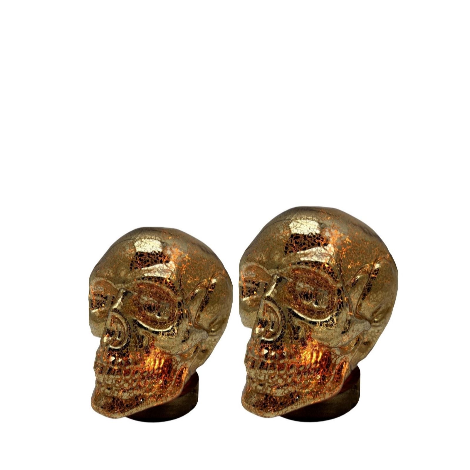 Cello Exclusive Bundle Halloween Skulls