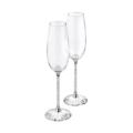 Swarovski Crystaline Toasting Flutes