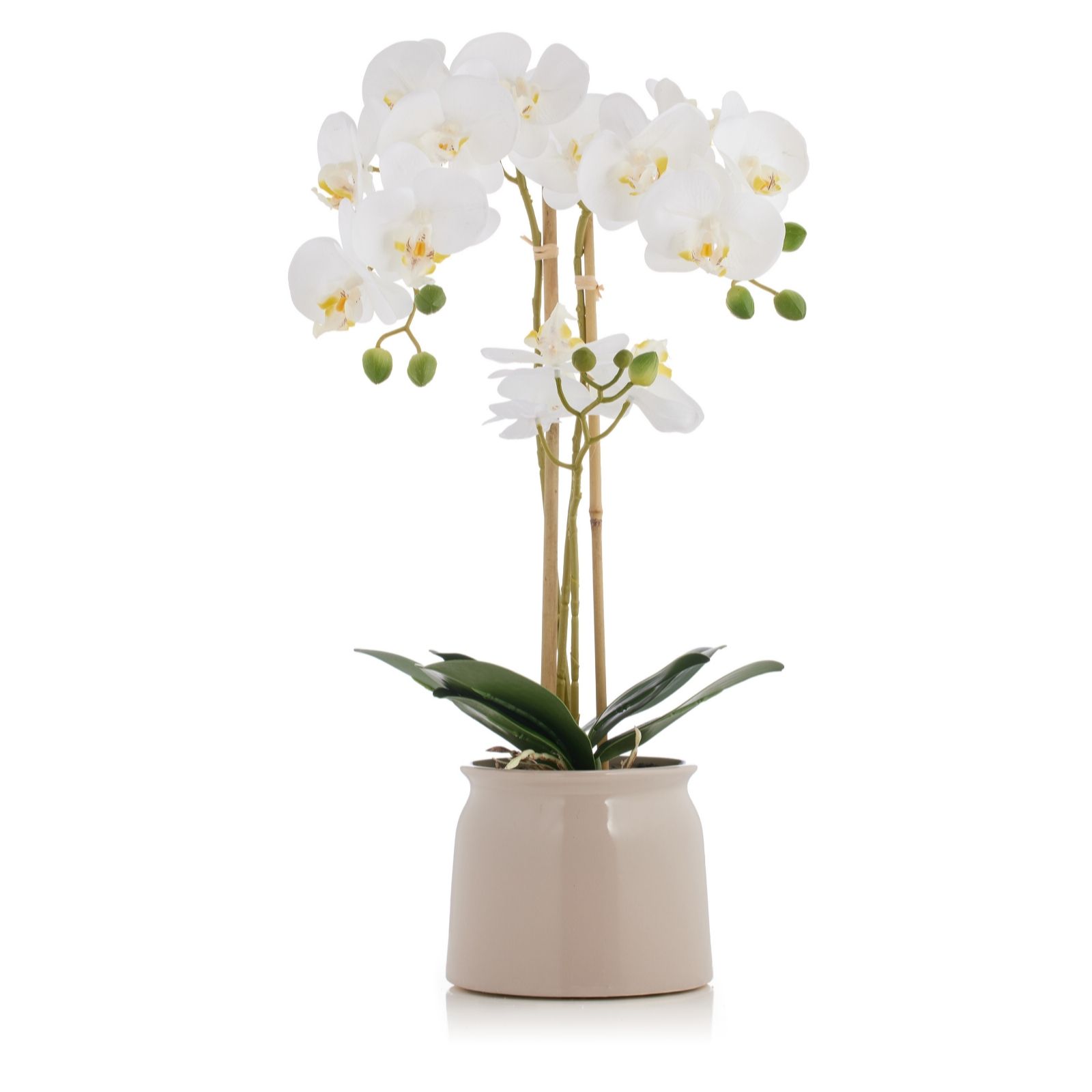 Otters Brook 56cm 3 Stem Real Touch White Orchid In Pot