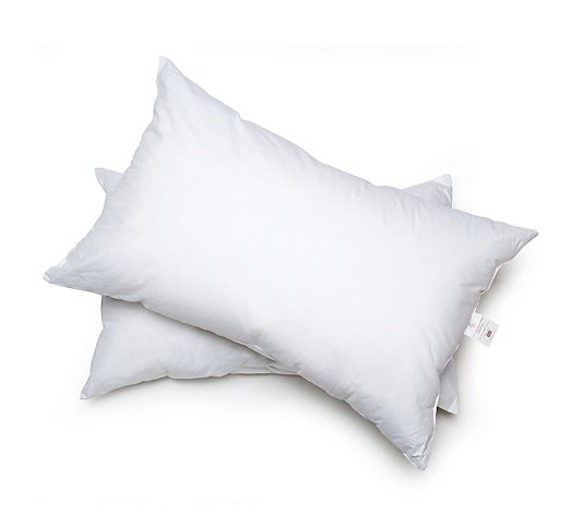GX Bedding Set of 2 2nd Generation Suspension Pillows
