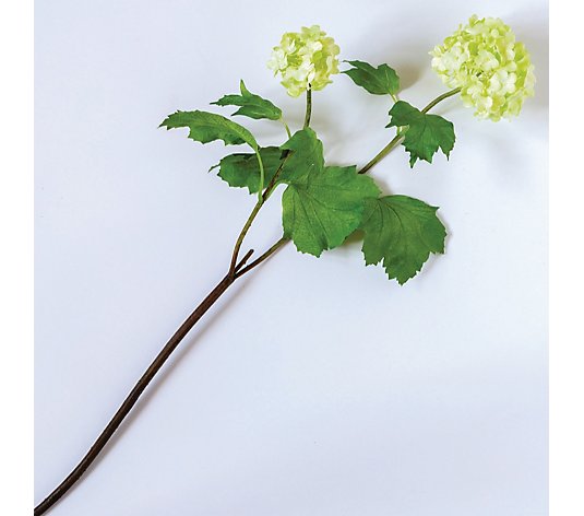 Bloom Faux Flowers Guelder Rose Branch Set of 12 Stems