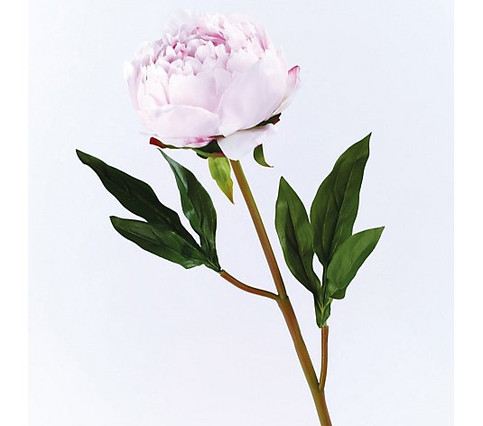 Bloom Faux Flowers Sarah Bernhardt Peony Stem