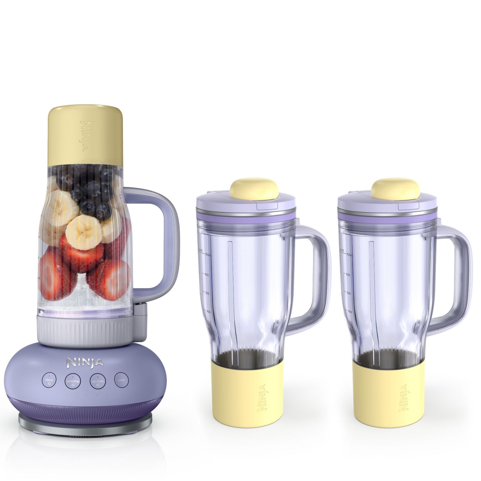 Outlet Ninja BlendBOSS Tumbler Blender Tumblers