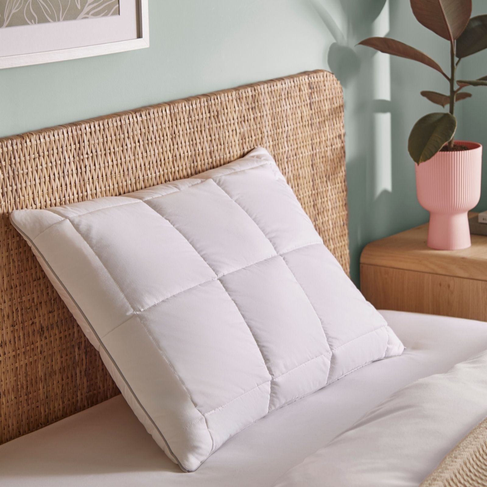 The Fine Bedding Compay Natural Latex Foam Pillow