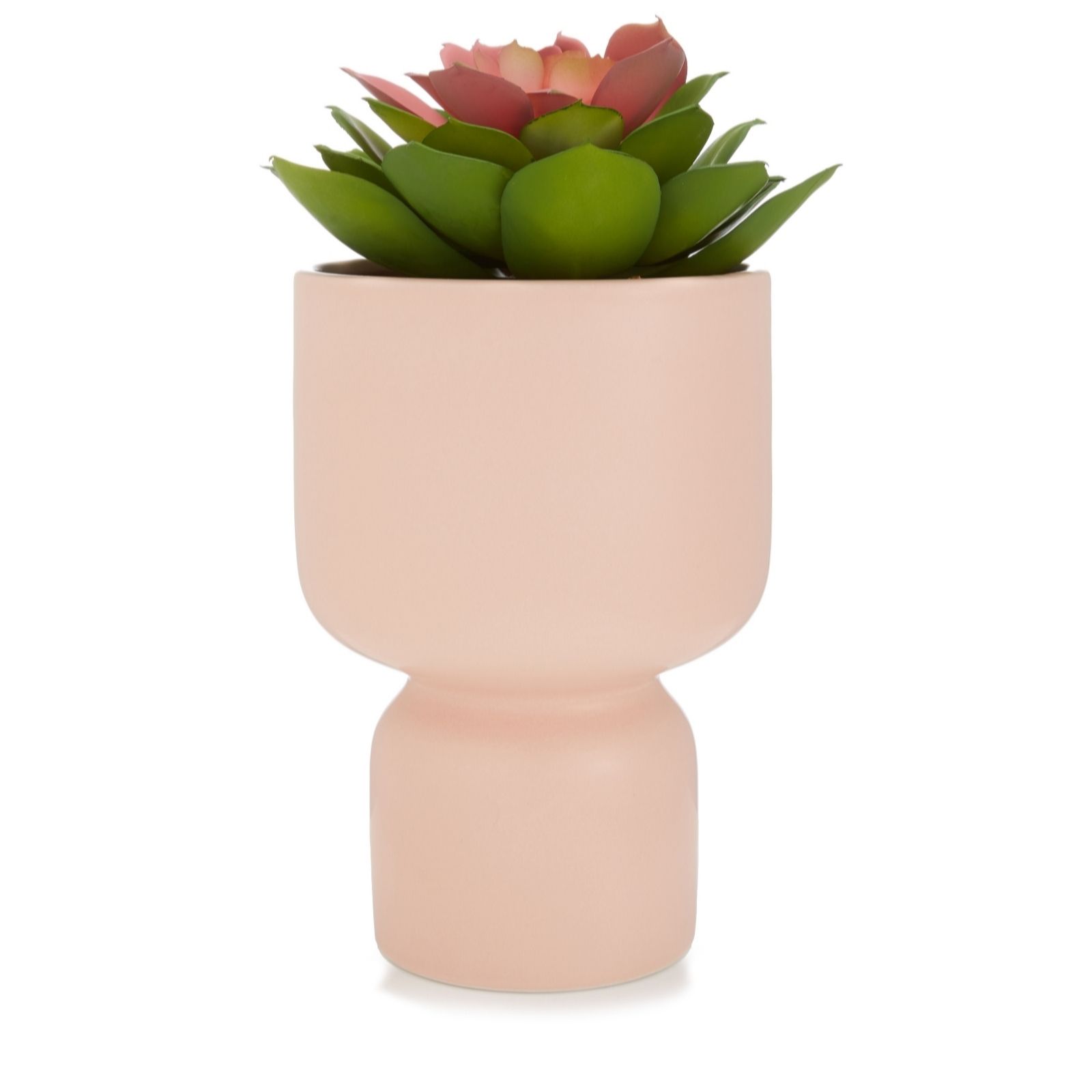 Outlet Amanda Holden Standing Planter with Large Succulent QVC UK