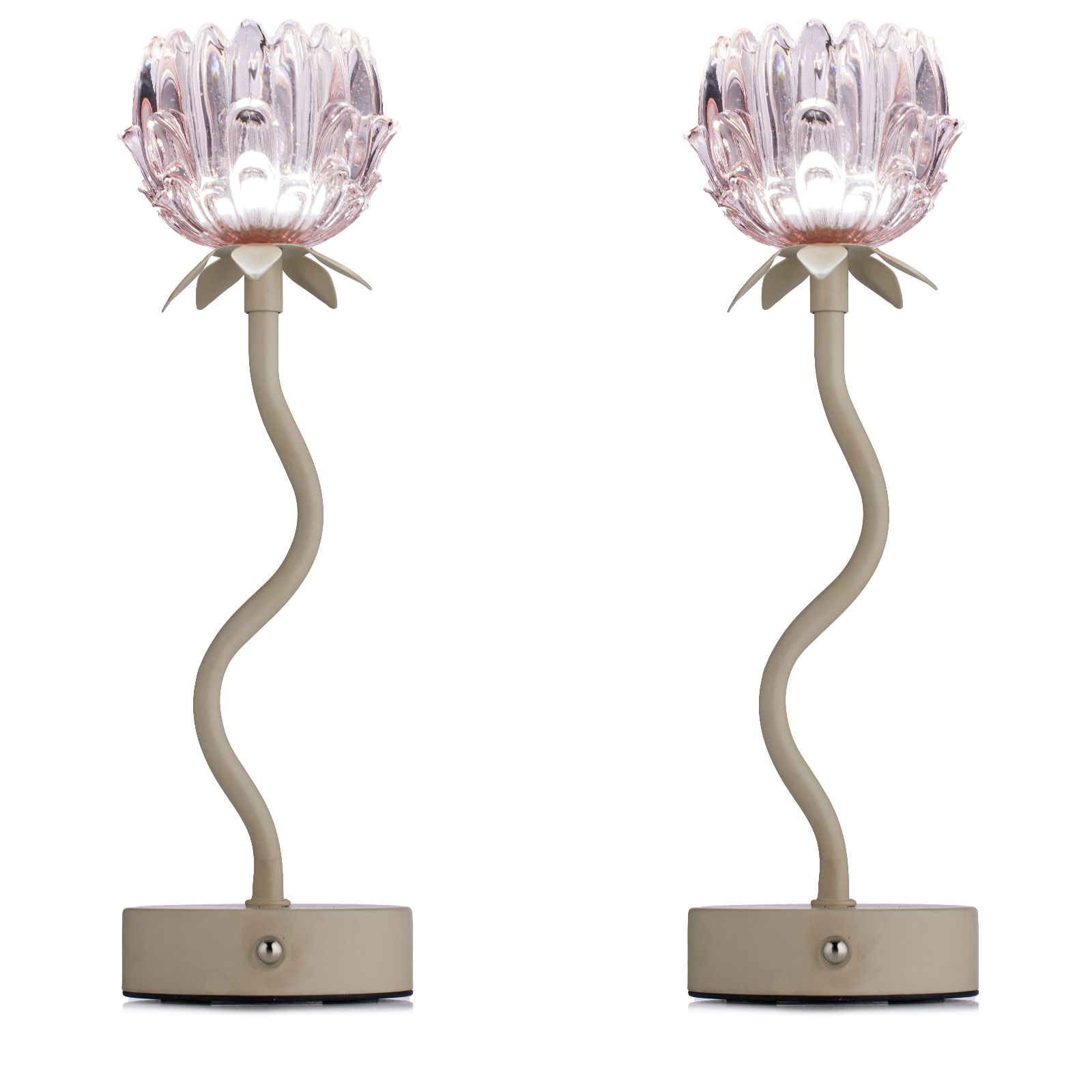 Outlet Home Stories Set of 2 Rechargeable Flower Lamps