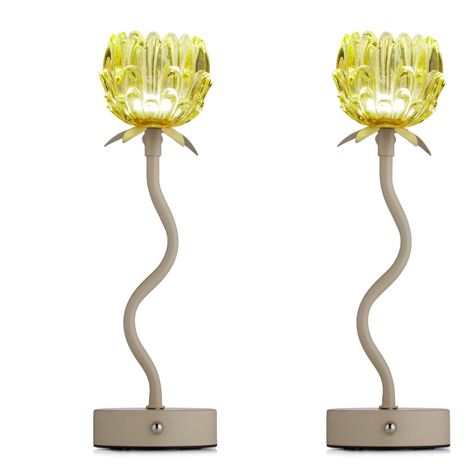 Outlet Home Stories Set of 2 Rechargeable Flower Lamps