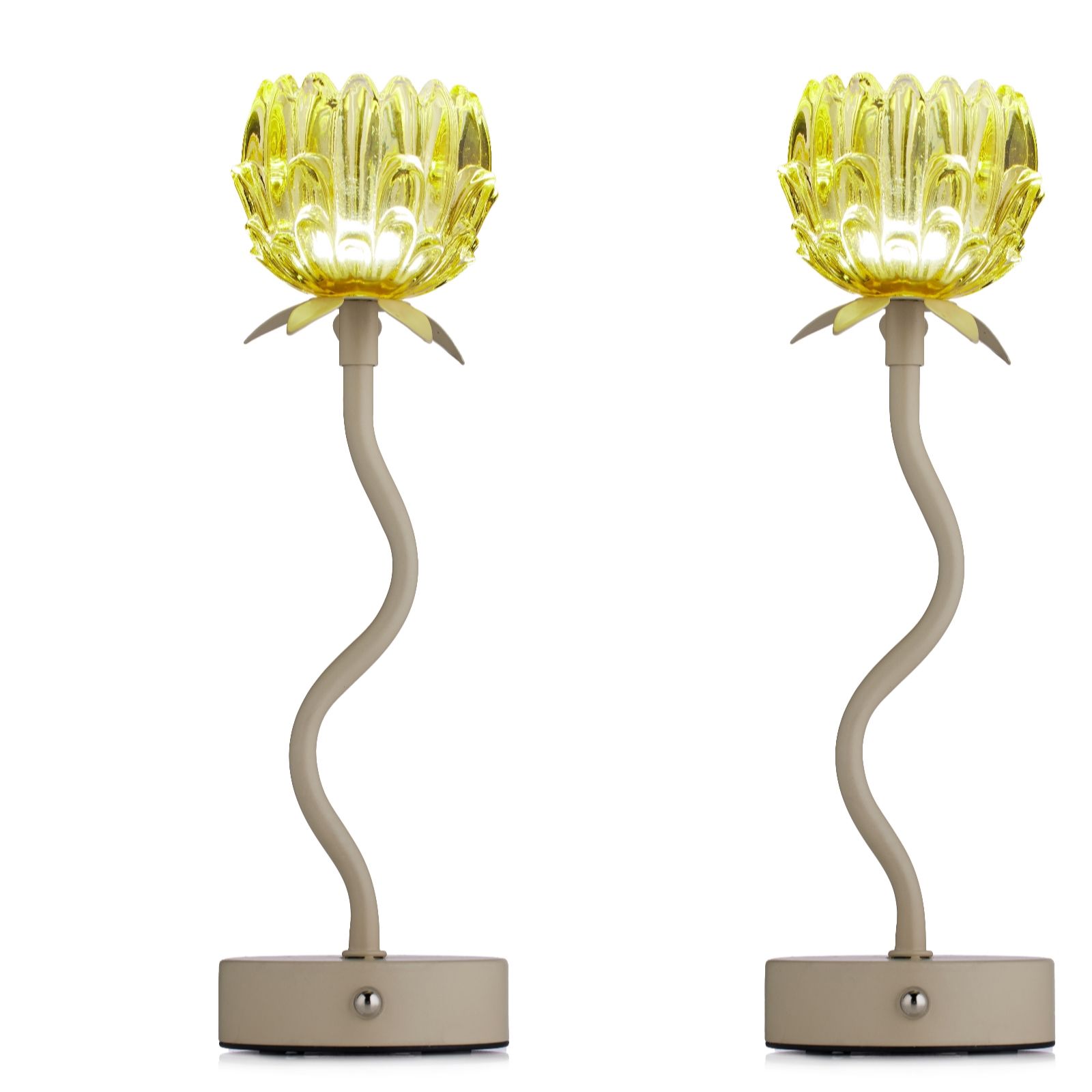Home Stories Set of 2 Rechargeable Flower Lamps