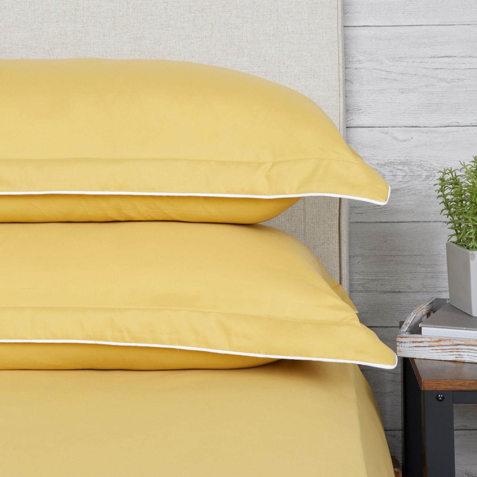 Supersoft by Cozee Home Set of 2 Standard Pillowcases with Contrast Piping
