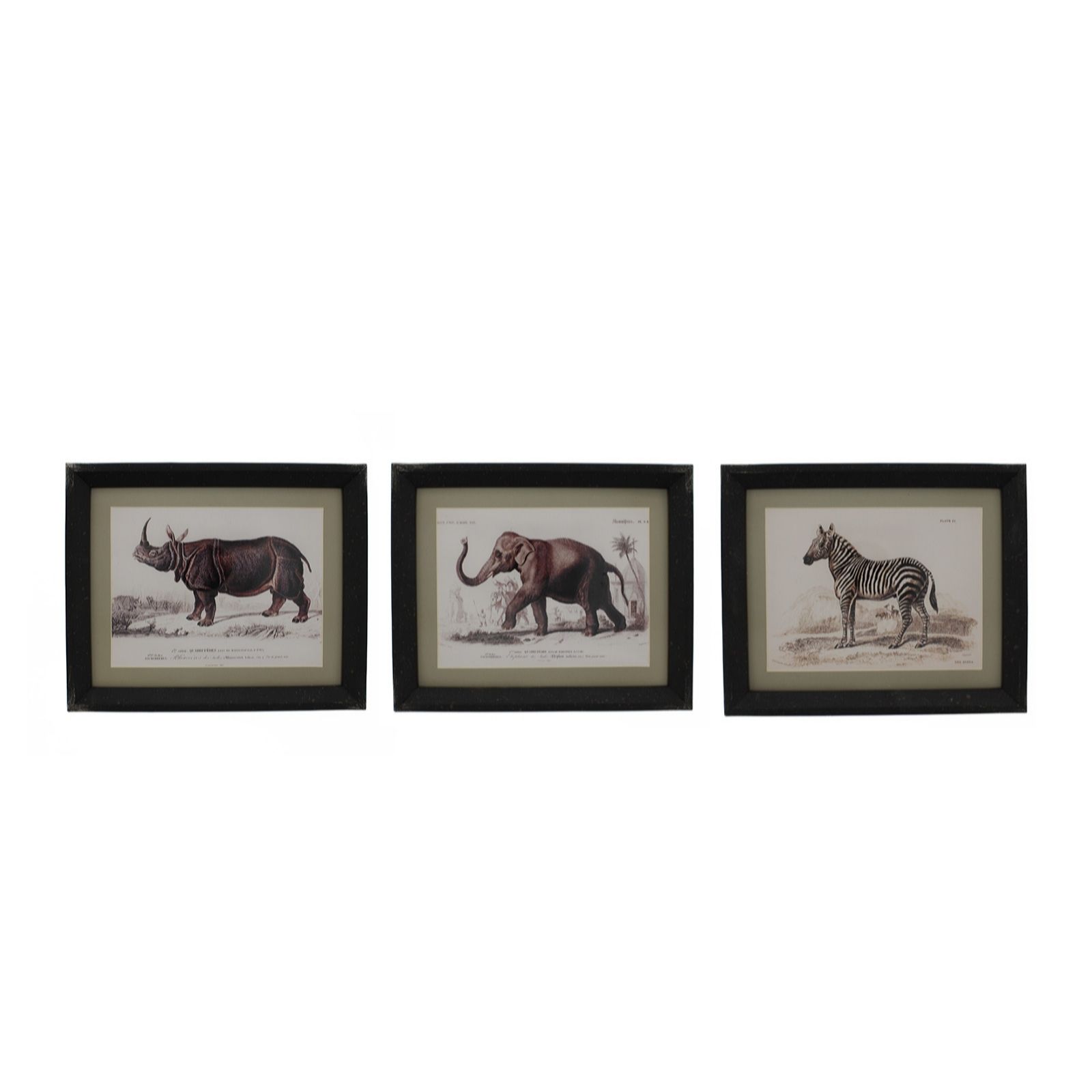 Ottersbrook 28cm Set of 3 Animal Prints With Frame