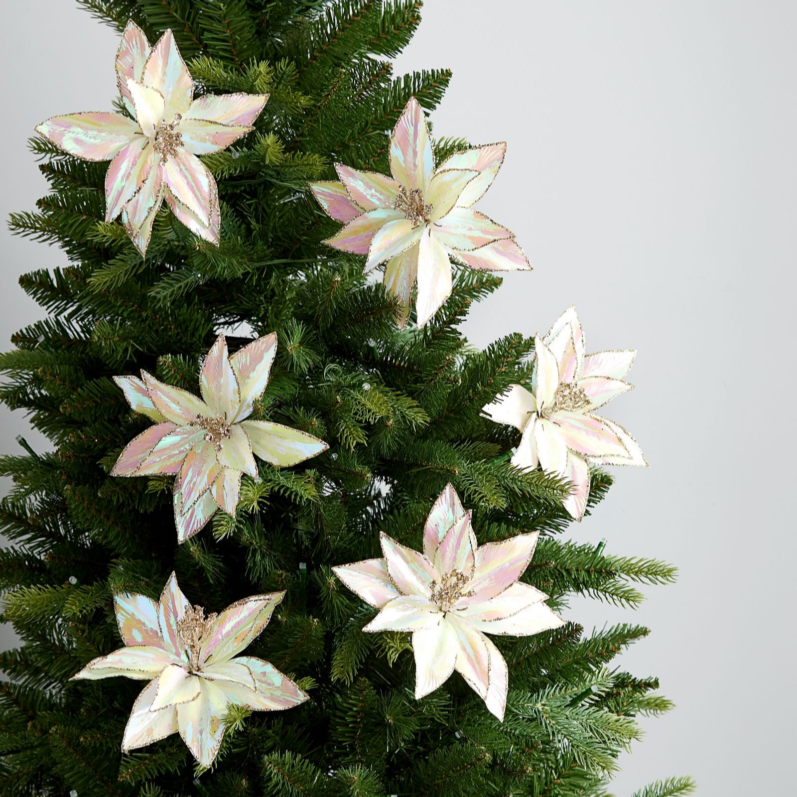 JM By Julien Macdonald Set of 6 Irridescent Flower Decorations