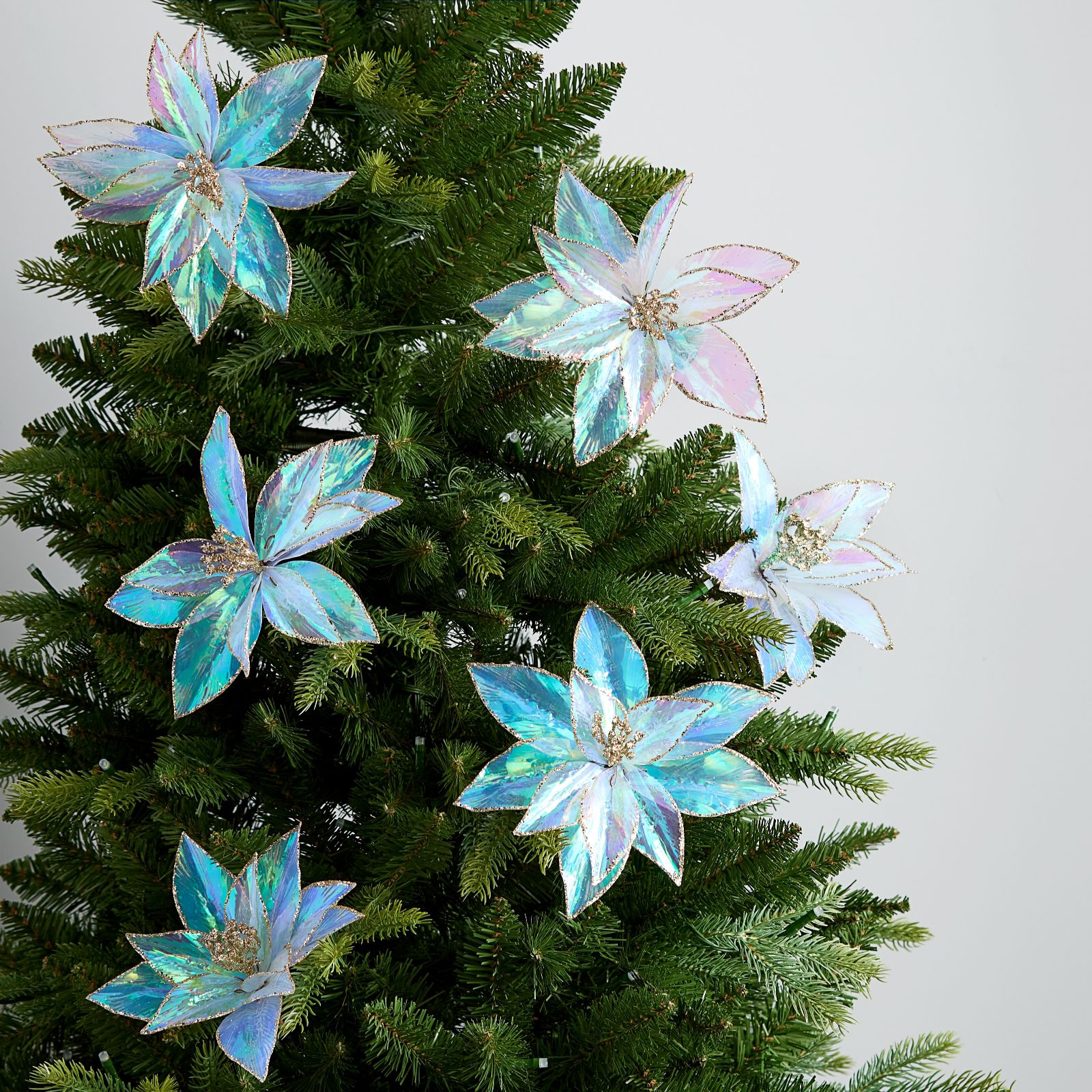 JM By Julien Macdonald Set of 6 Irridescent Flower Decorations