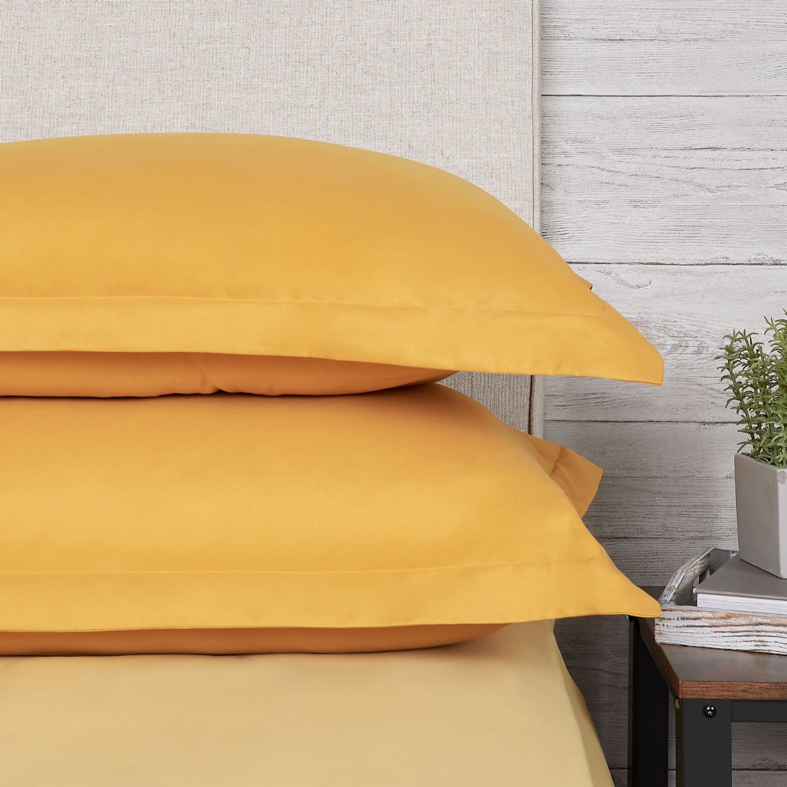 Supersoft by Cozee Home Botantical Solid Set of 2 Oxford Pillowases