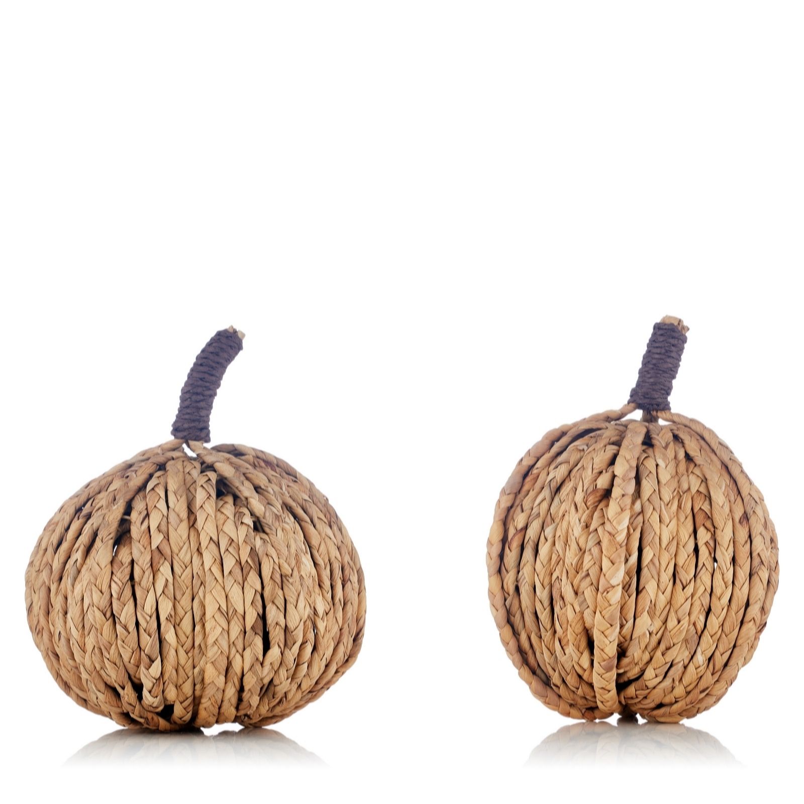 Outlet S By Sara Davies Set of 2 Natural Pumpkins