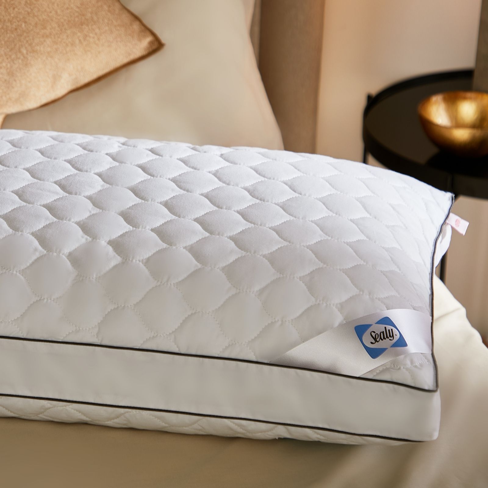 Sealy Side Sleeper Pillow