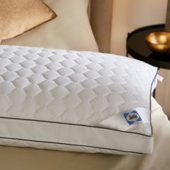 Sealy Side Sleeper Pillow
