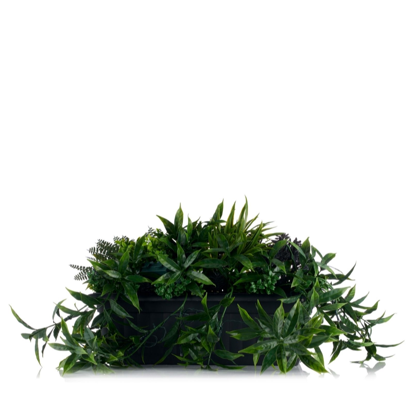 Outlet Amanda Holden PreLit Tropical Window Box QVC UK