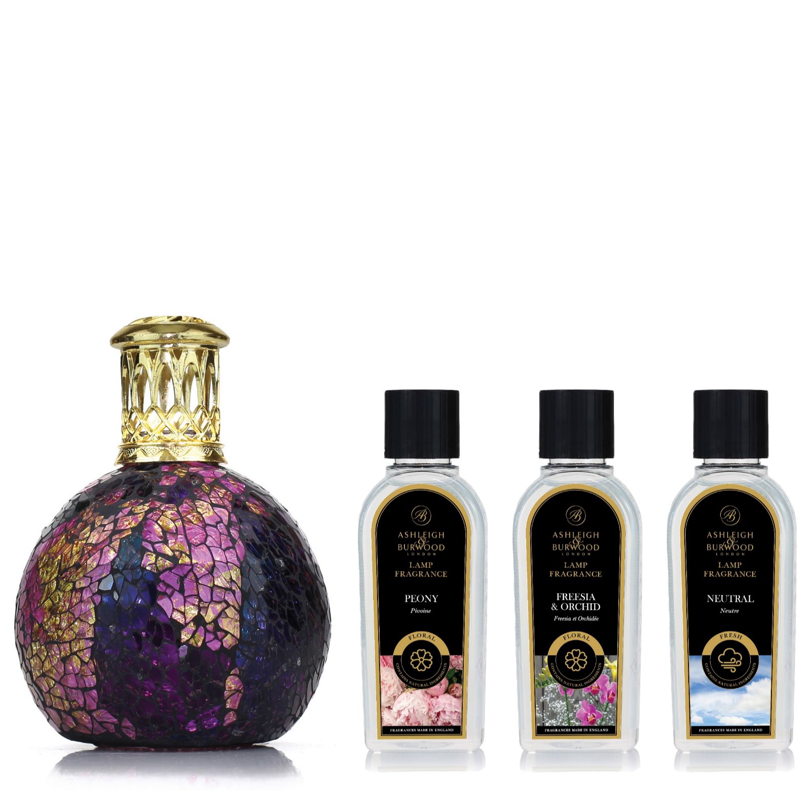 Ashleigh & Burwood Fragrance Lamp & 3 Oil Bundle