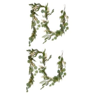 Sara by Sara Davies Pre Lit Eucalyptus Light Strand Set of 2