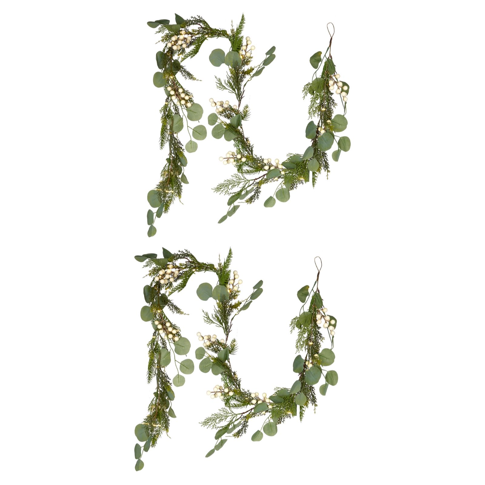 Sara By Sara Davies Set Of 2 Pre Lit Eucalyptus Light Strand