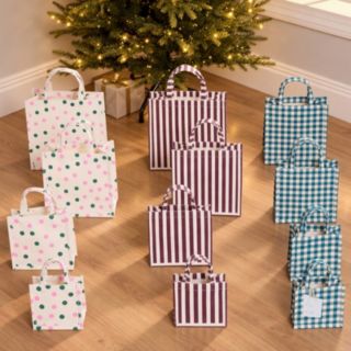 Home Stories 12 Piece Reusable All Occasions Gift Bag Set with Tags