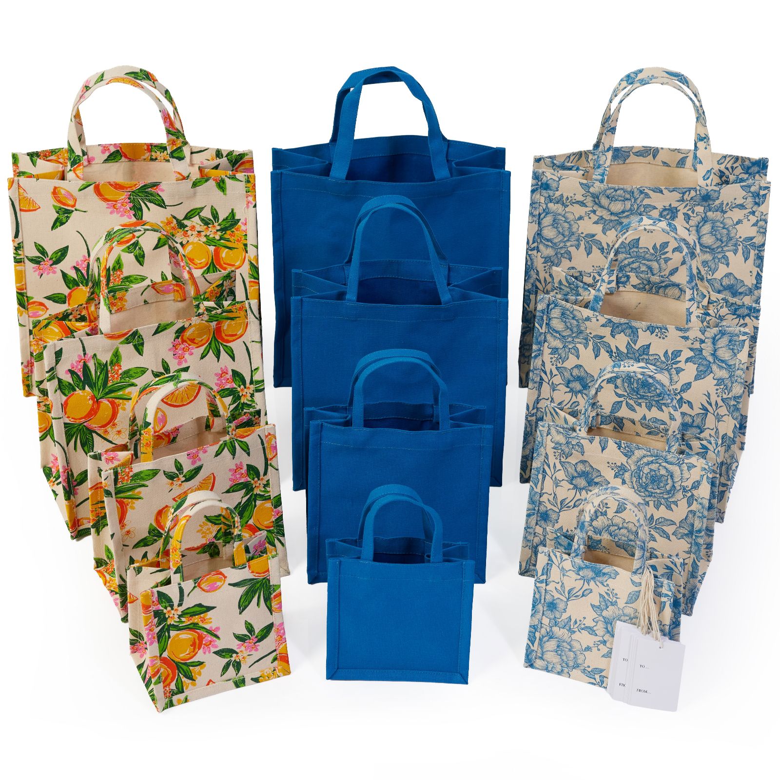 Home Stories 12 Piece Reusable Gift Bag Set with Tags