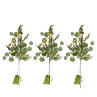 Sara by Sara Davies Set of 3 Pre Lit Eucalyptus Stems