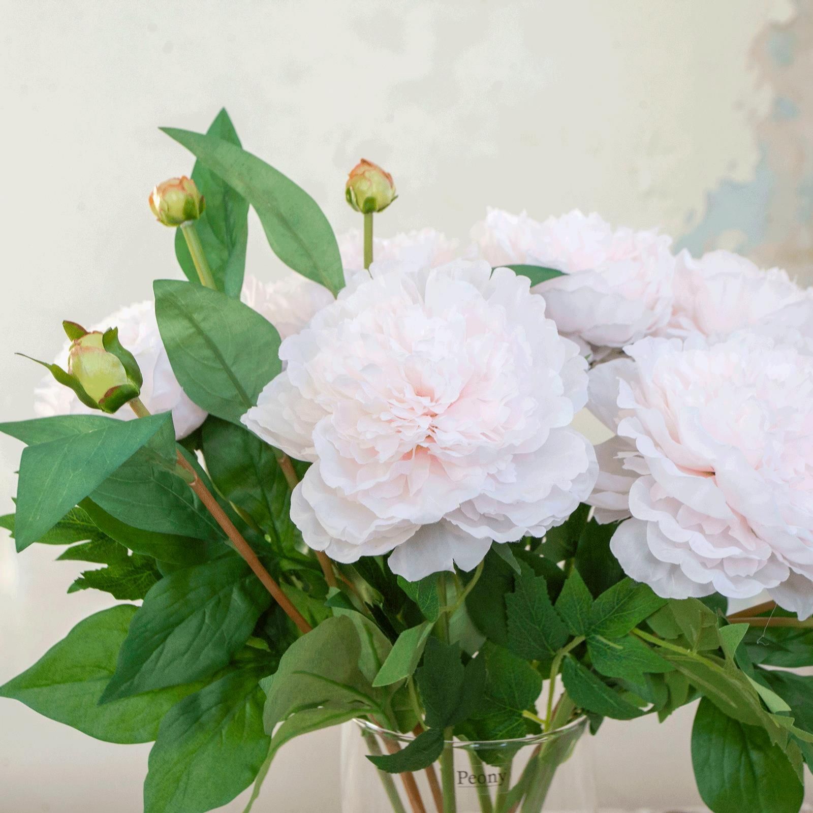 Peony Peonies & Buds in a Glass Vase QVC UK