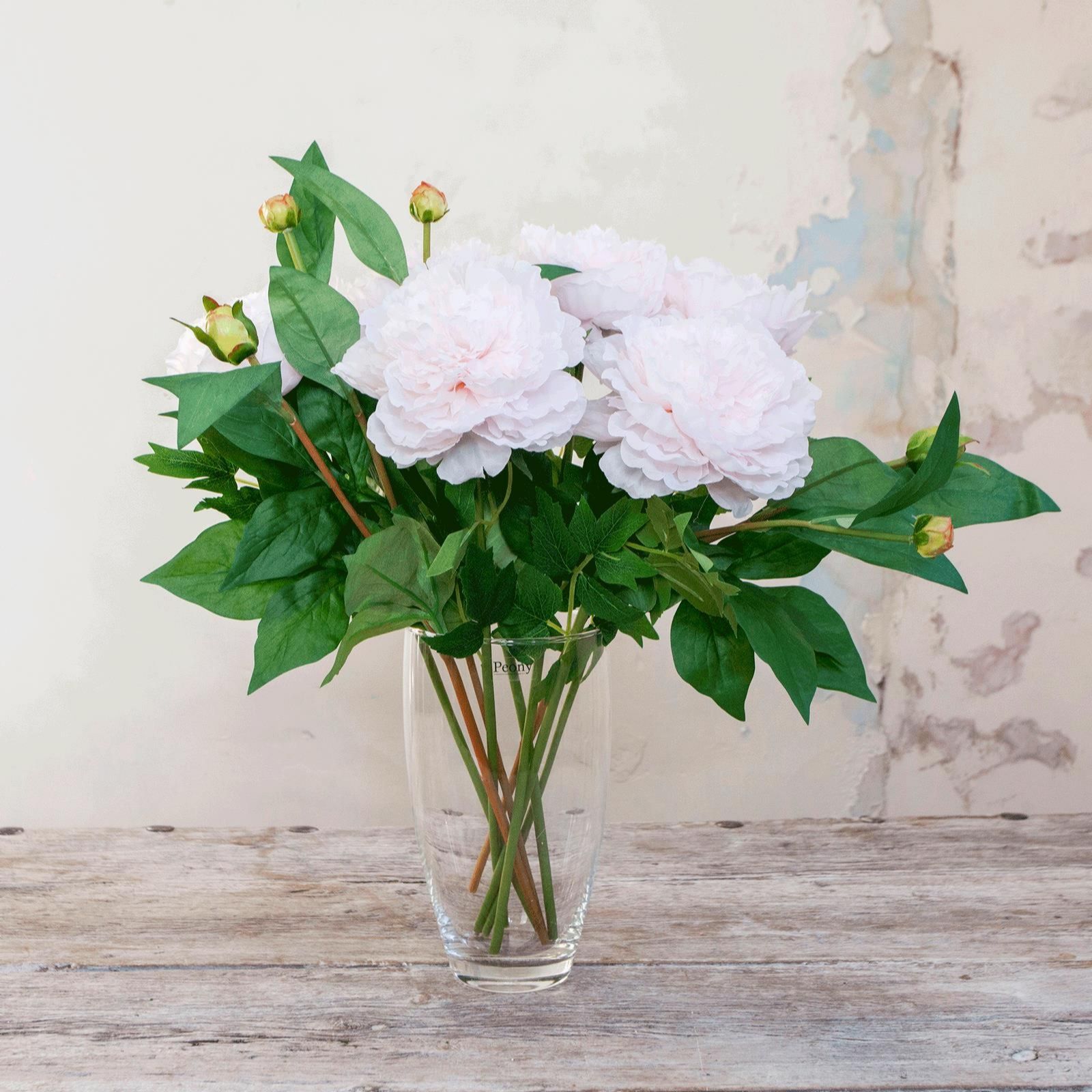 Peony Peonies & Buds in a Glass Vase QVC UK