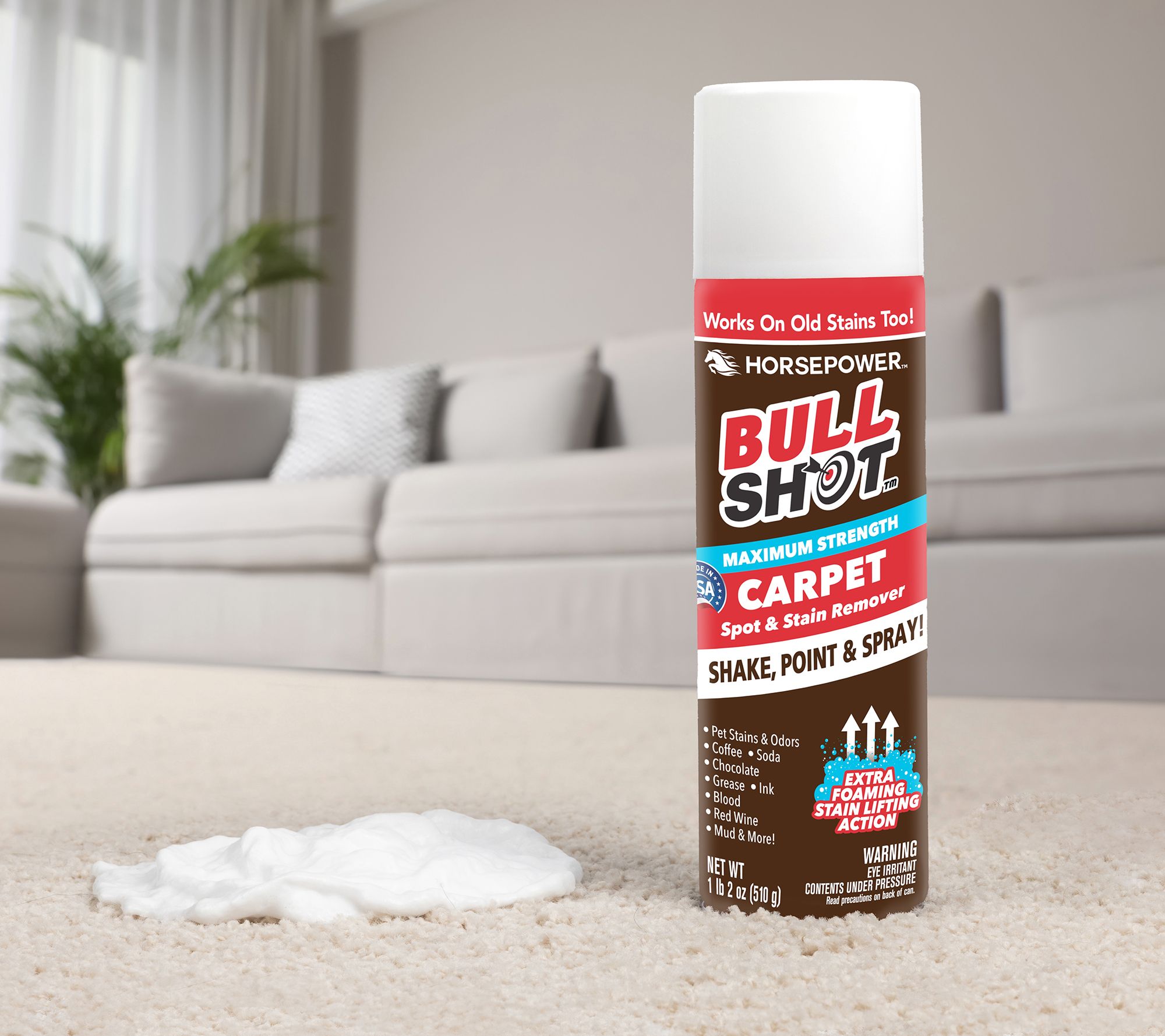 Bull Shot S/2 18oz Max Strength Carpet Spot & Stain Remover