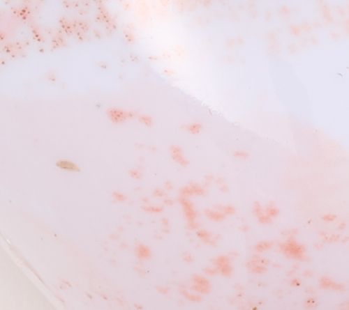Rose Gold Brush