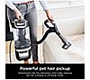 Shark Lift-Away Upright Vacuum with Powerfins and Hairpro, 1 of 7