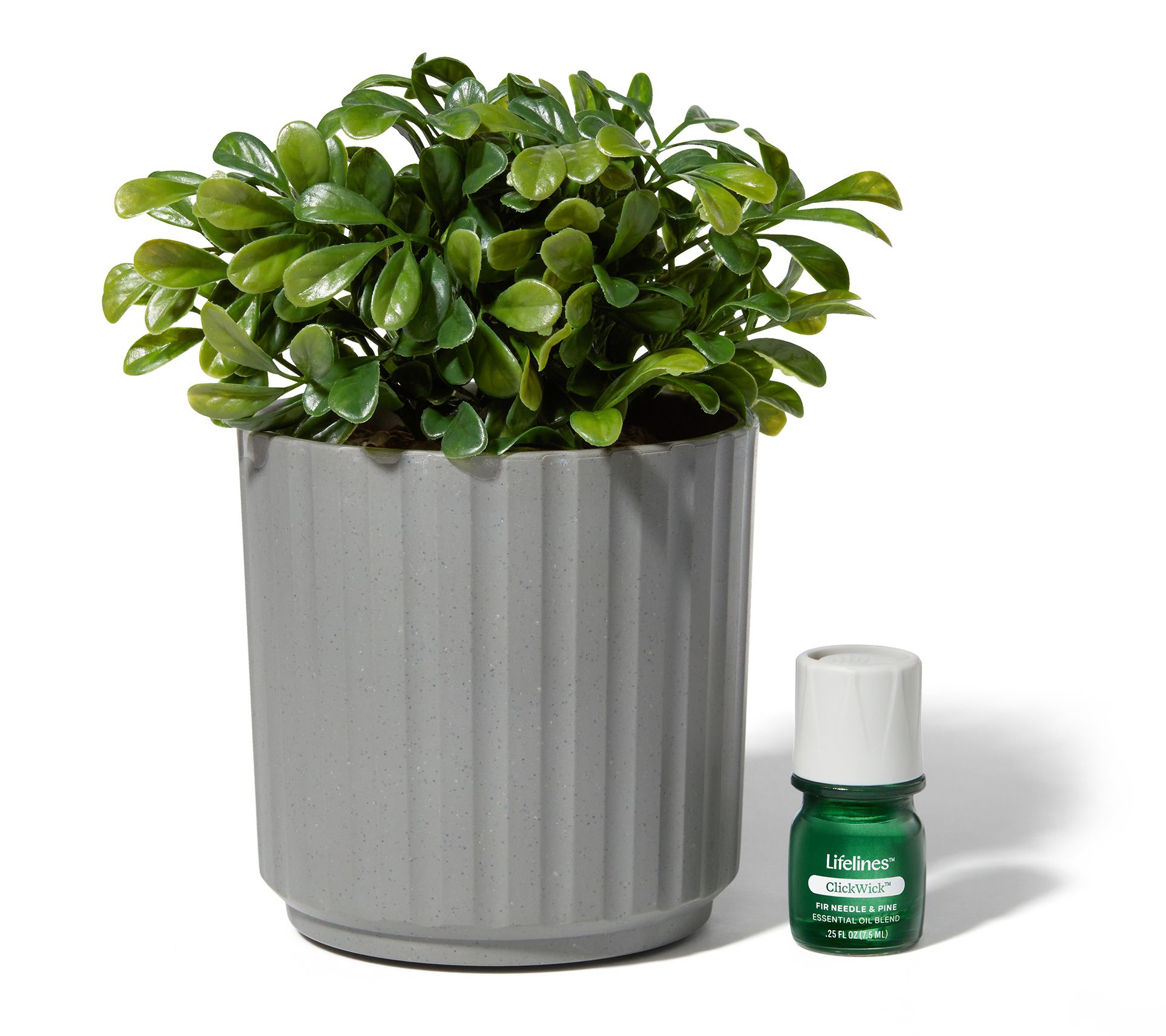Lifelines Rechargeable Faux Plant Aroma Diffuser