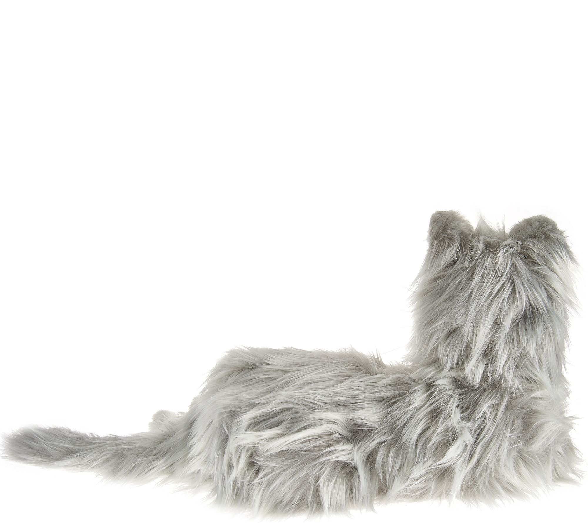 hasbro companion cat